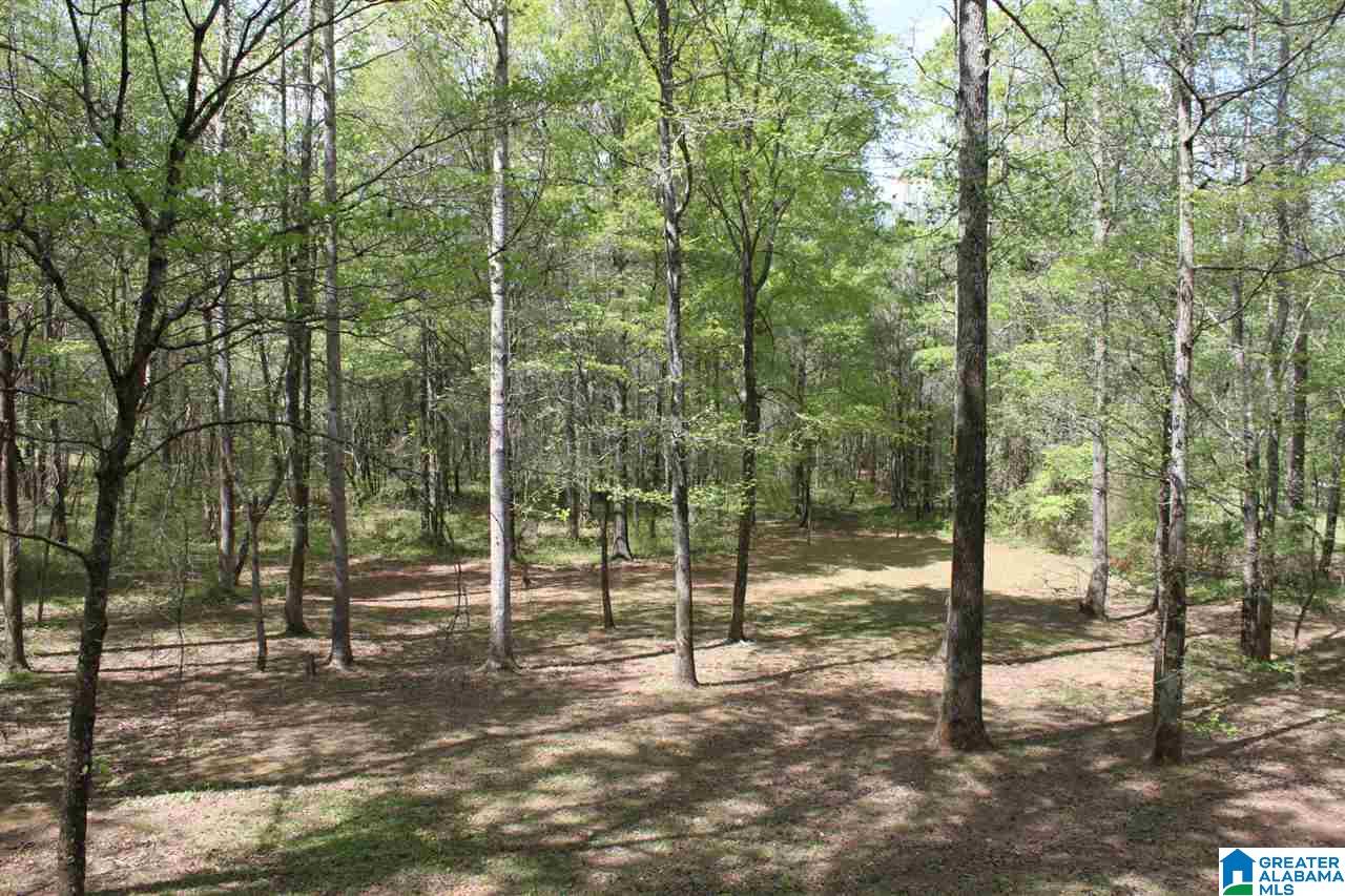 6906 Mcfrancis Road Trussville, AL 35173 - Photo 22 of 22