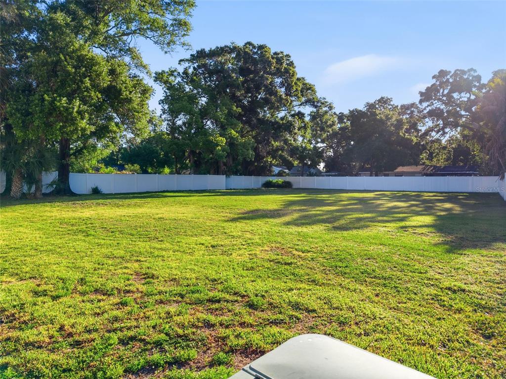 3348 West Hidden Haven Court Tampa, FL 33607 - Photo 17 of 43 a view of a swimming pool and trees in the background