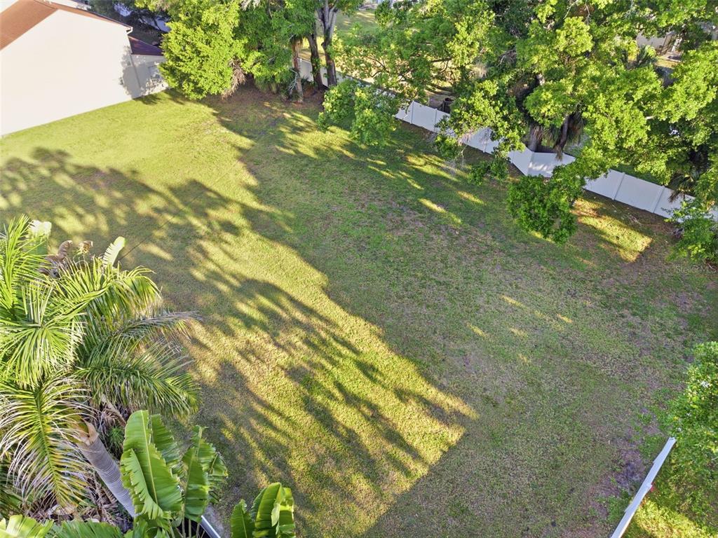 3348 West Hidden Haven Court Tampa, FL 33607 - Photo 33 of 43 a view of yard