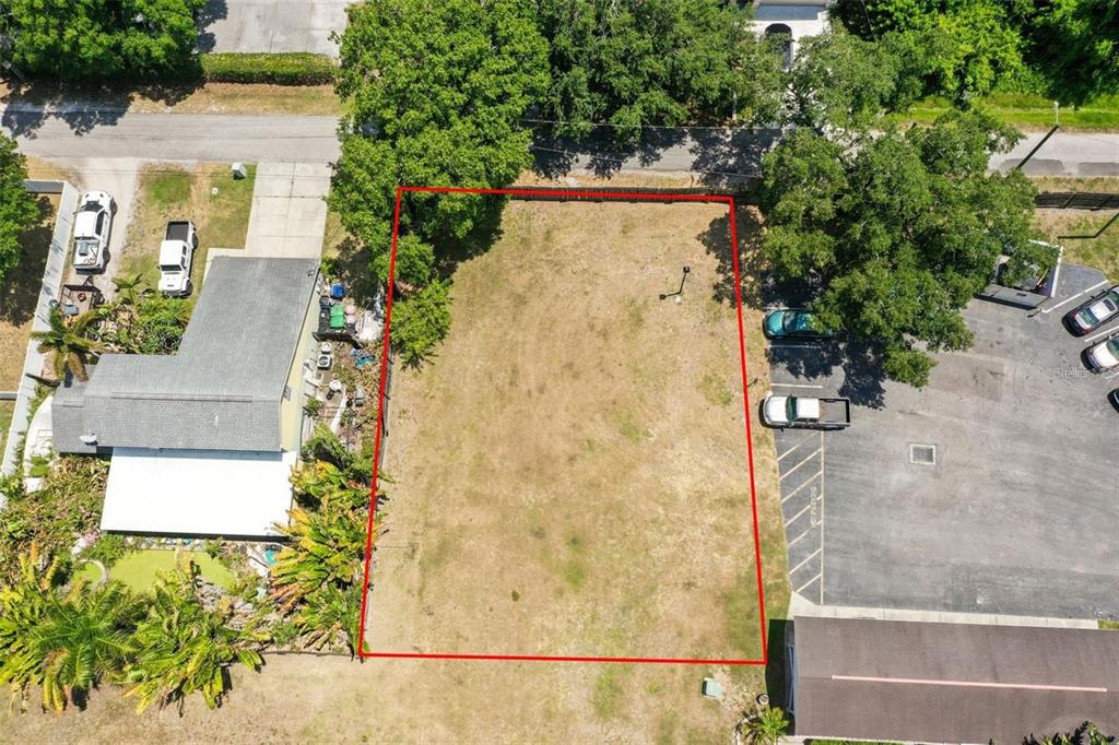 3348 West Hidden Haven Court Tampa, FL 33607 - Photo 5 of 43 view of a house with a tree