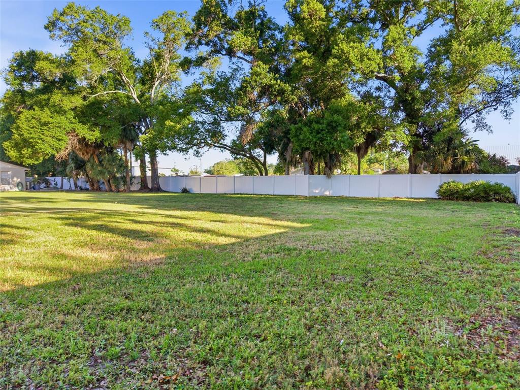 3348 West Hidden Haven Court Tampa, FL 33607 - Photo 10 of 43 a view of a swimming pool and trees in the background
