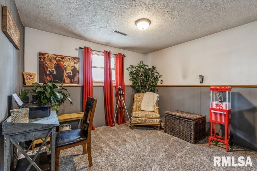 813 3rd Street Colona, IL 61241 - Photo 14 of 22 Gallery Image 14