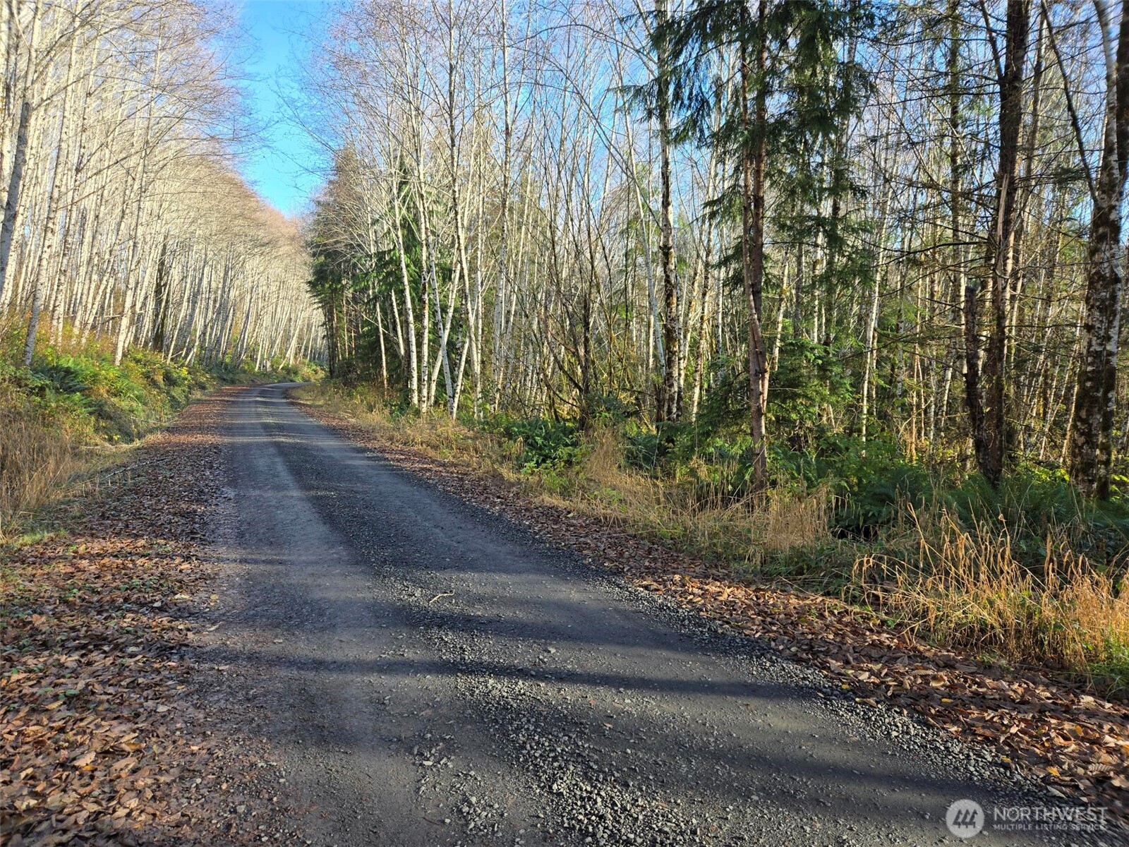 -nka Fall River Road Cosmopolis, WA 98537 - Photo 1 of 13 Gallery Image 1
