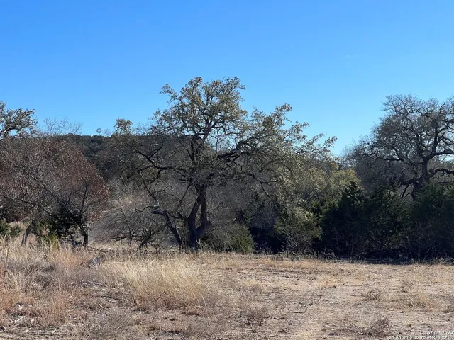 $369,000 | Tbd Waring Welfare Road, Comfort, TX 78013