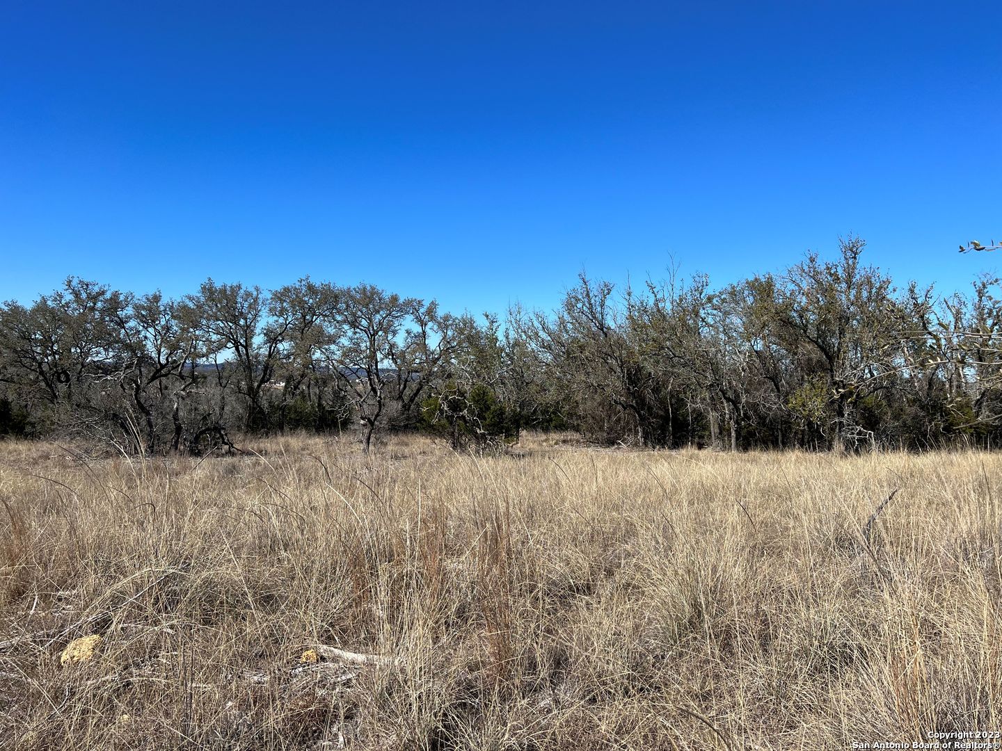 Tbd Waring Welfare Road Comfort, TX 78013 - Photo 8 of 17 a view of natural light