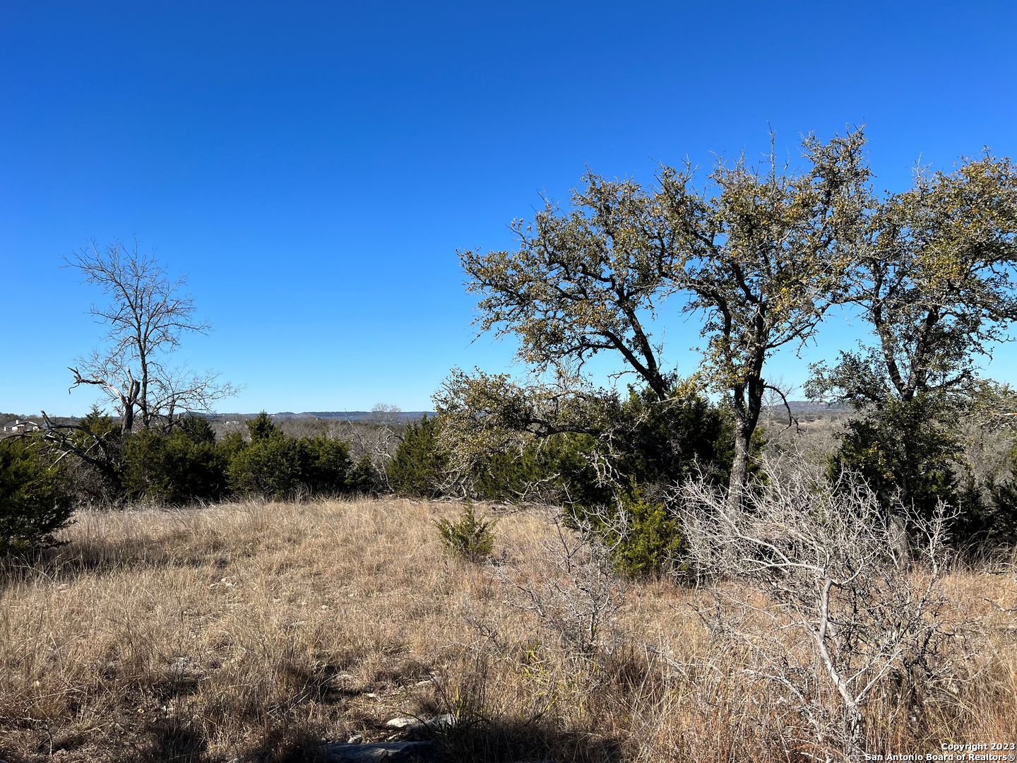 Tbd Waring Welfare Road Comfort, TX 78013 - Photo 9 of 17 a view of a yard