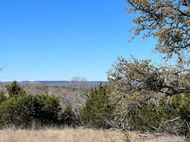 a view of a mountain range with trees in the background