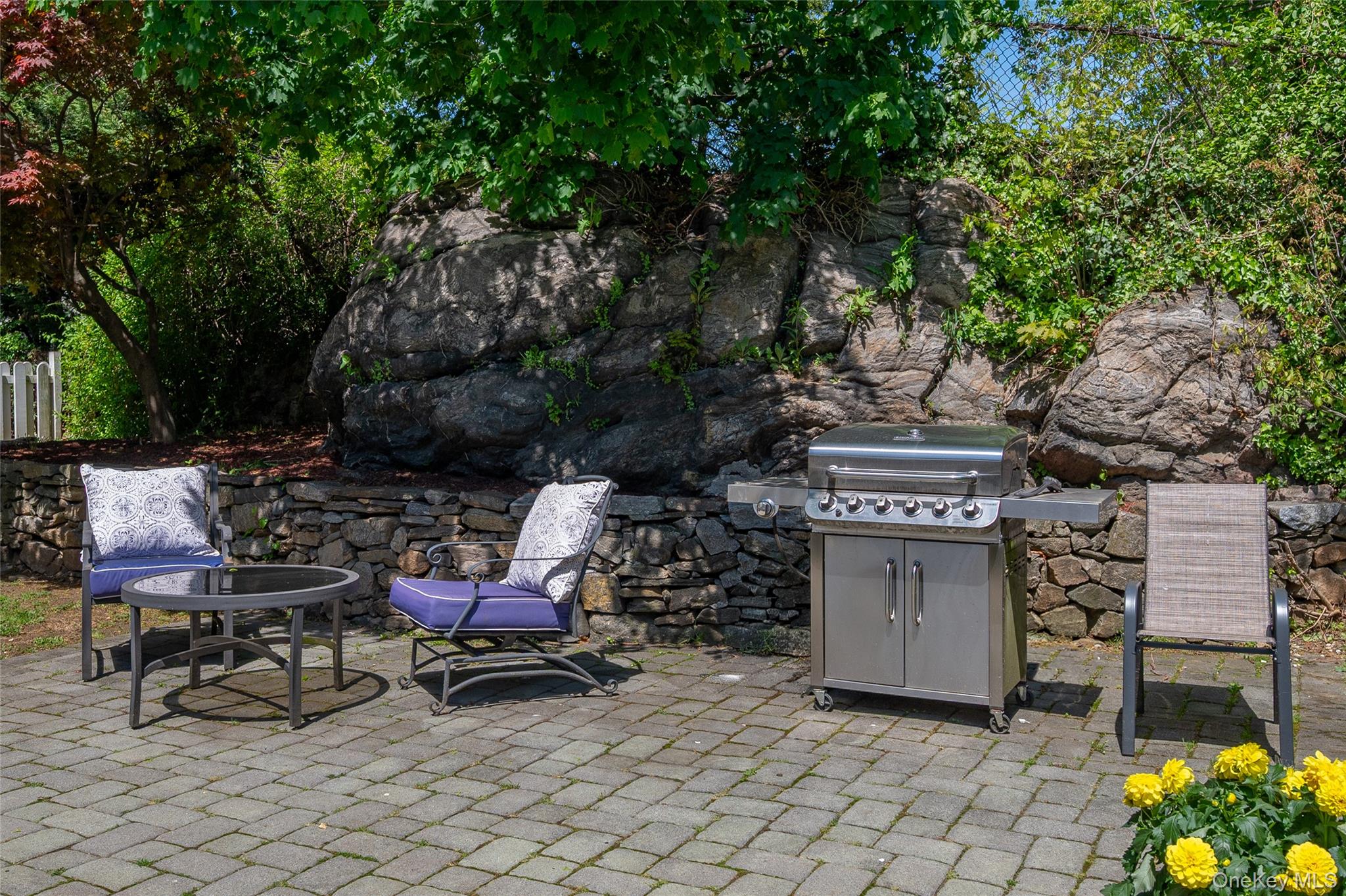 1 Pembroke Street New Rochelle, NY 10801 - Photo 35 of 47 Barbecue on the patio