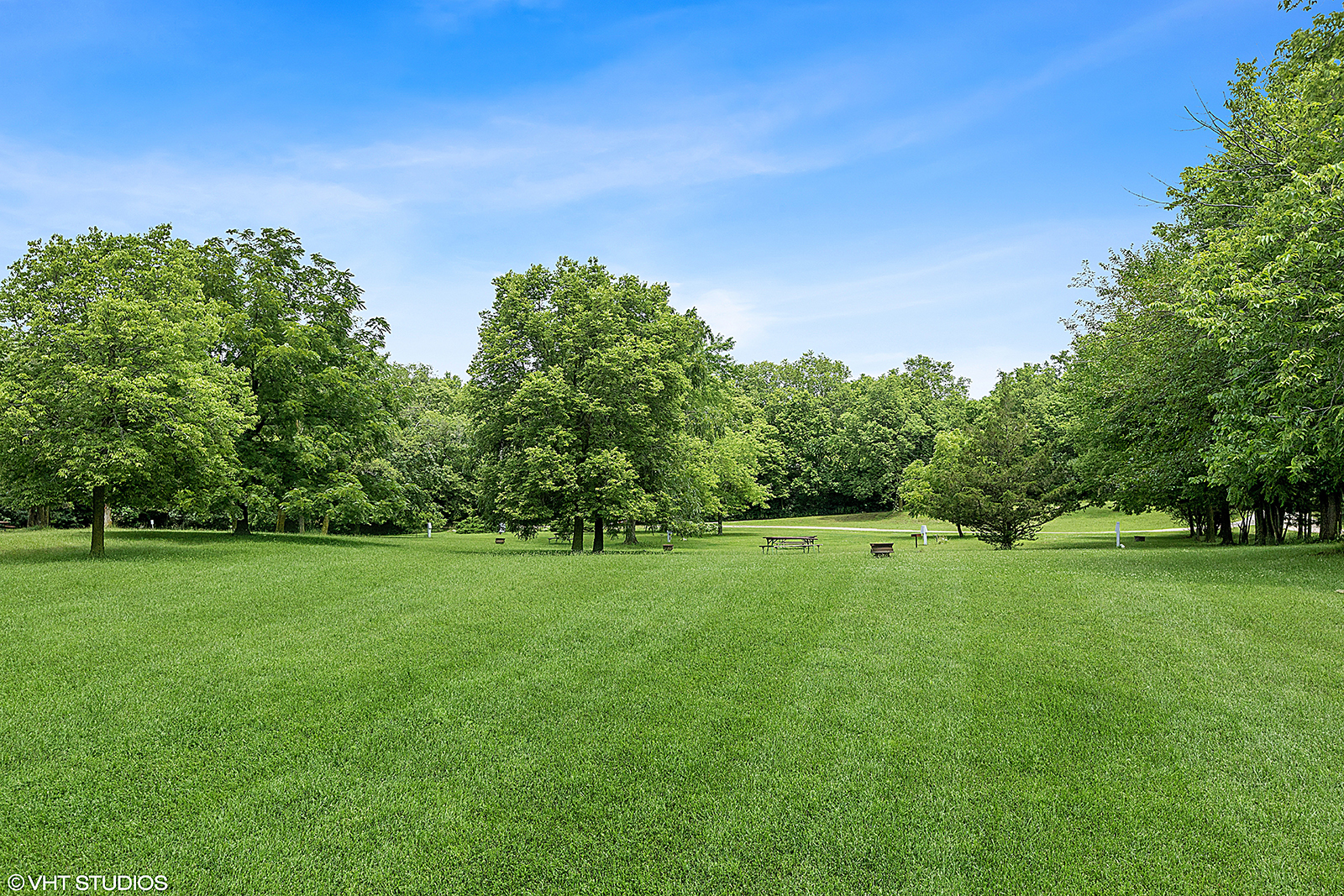2057 West Southmor Road Morris, IL 60450 - Photo 33 of 41 a view of a big yard with a large tree and plants