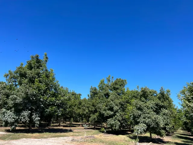 a view of a yard with an outdoor space