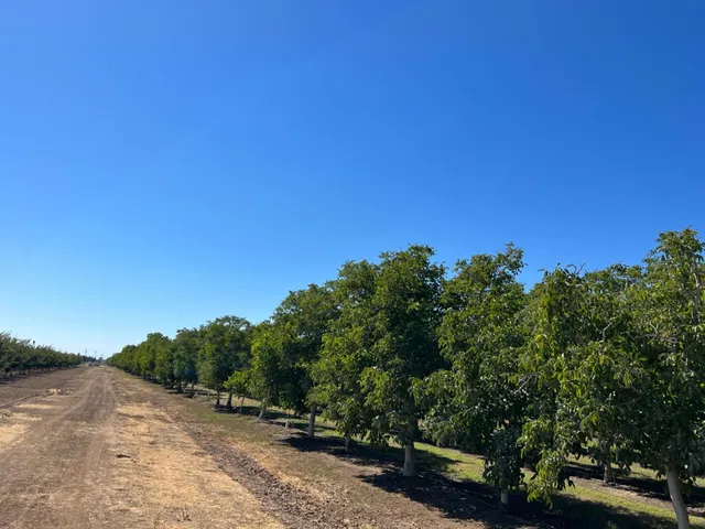 a view of a road with trees in the background