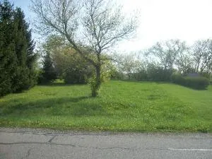 a view of a grassy field with trees