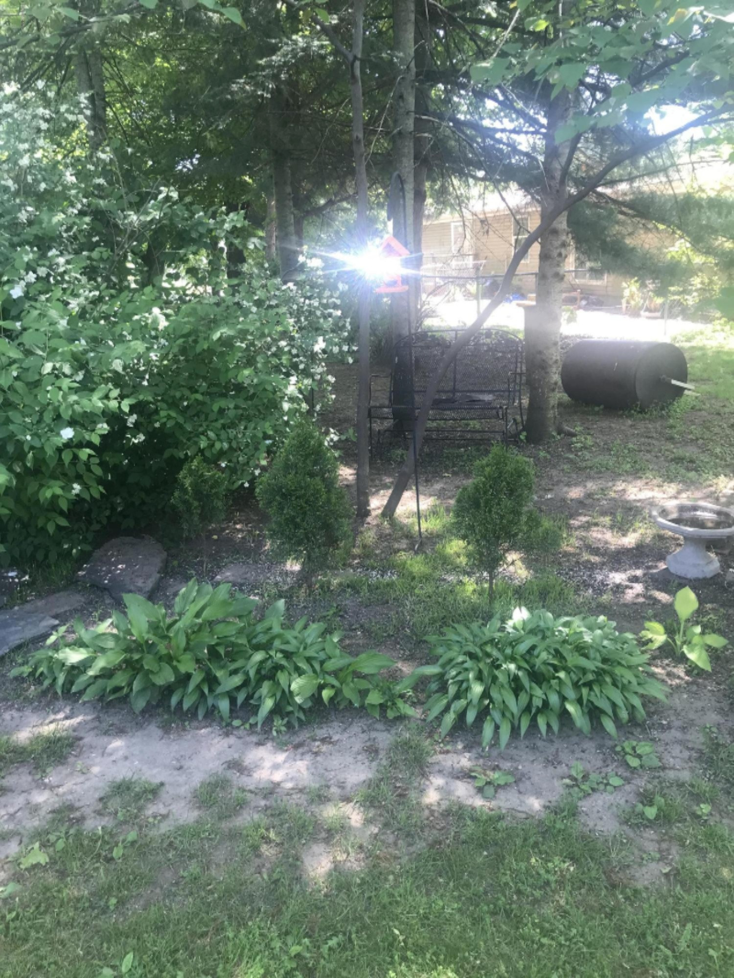 1107 Orchard Drive Three Rivers, MI 49093 - Photo 12 of 16 IMG_7230