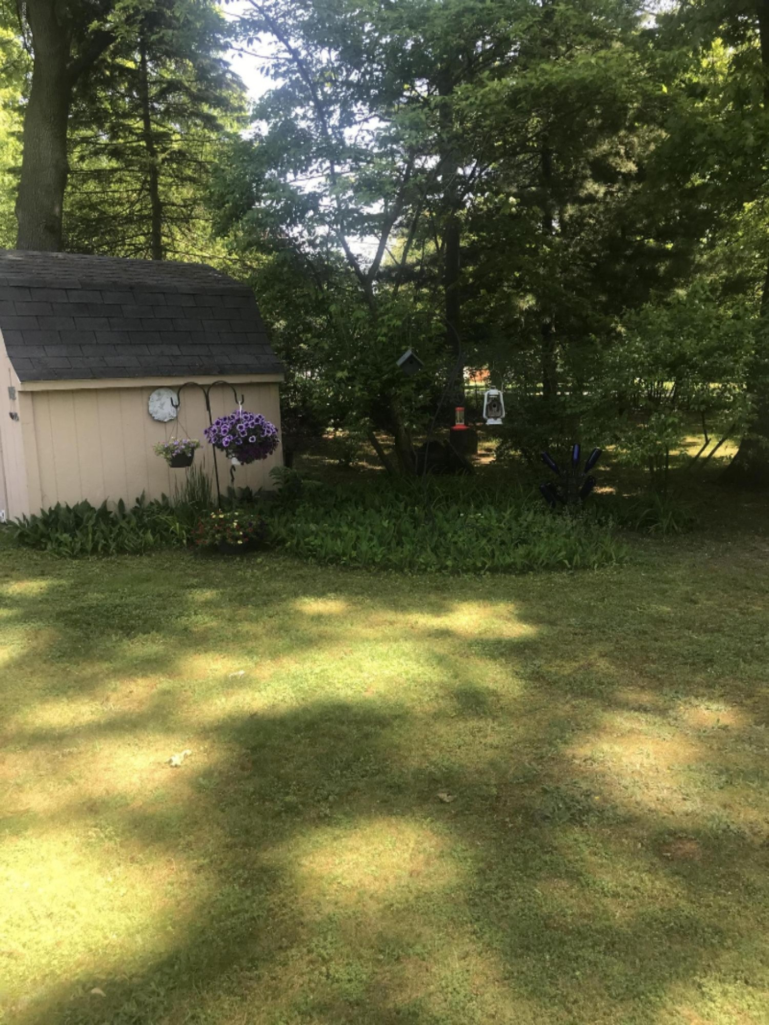 1107 Orchard Drive Three Rivers, MI 49093 - Photo 13 of 16 IMG_7232
