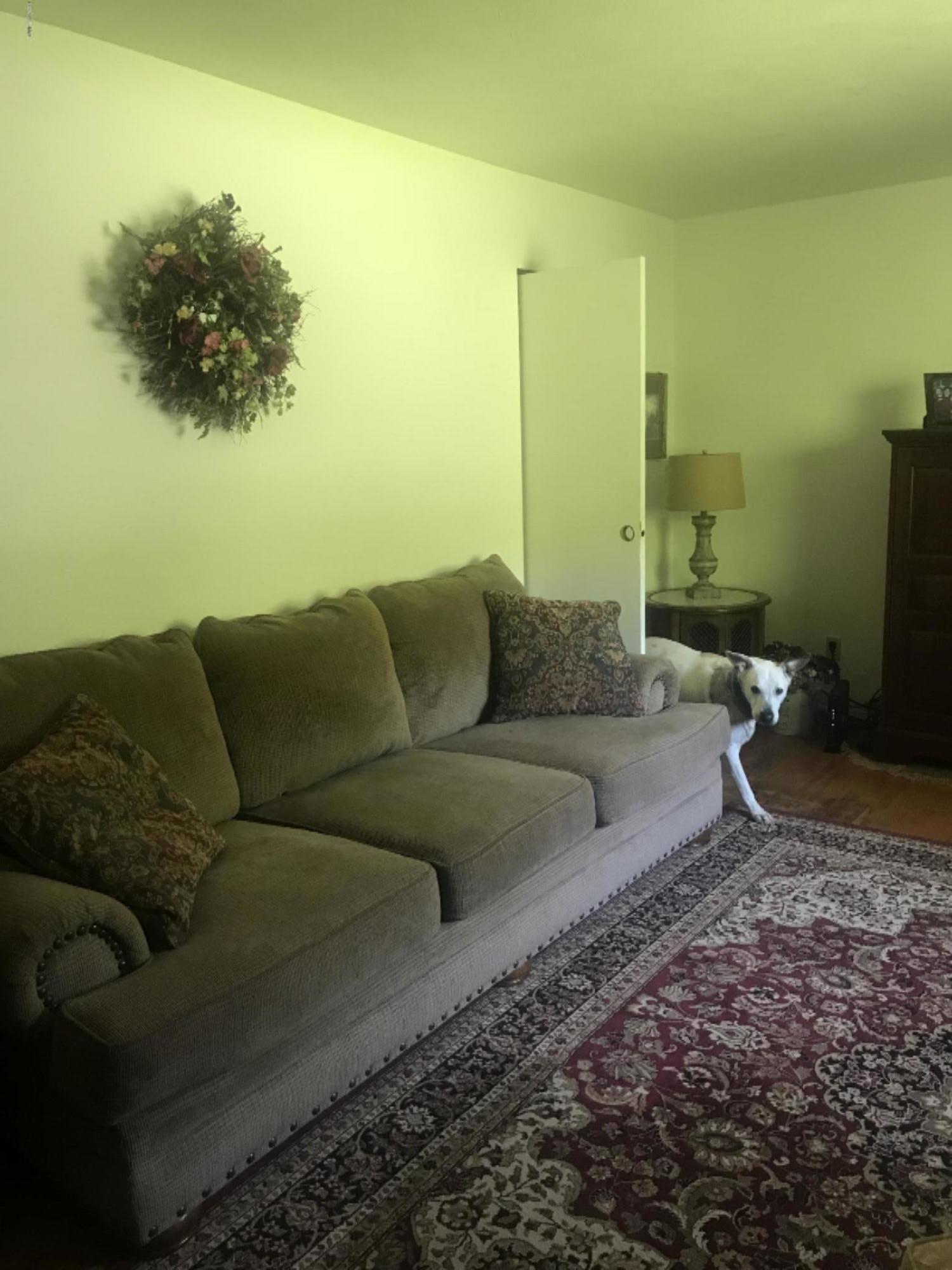 1107 Orchard Drive Three Rivers, MI 49093 - Photo 3 of 16 IMG_7206