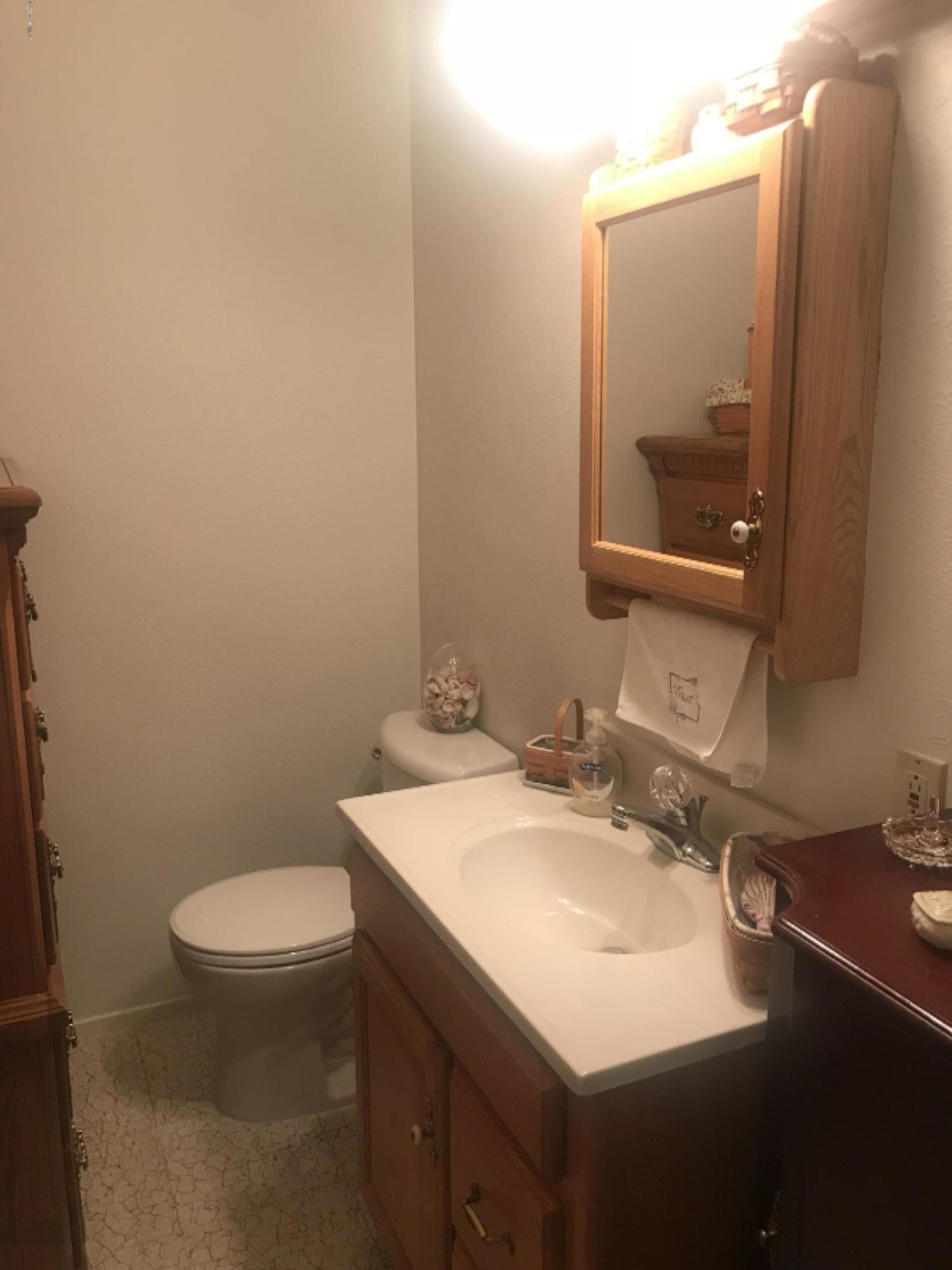 1107 Orchard Drive Three Rivers, MI 49093 - Photo 10 of 16 IMG_7203 - Copy