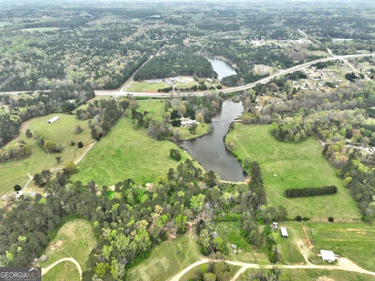 3571 Highway 20 Hampton, GA 30228 - Photo 15 of 35 a view of lake view