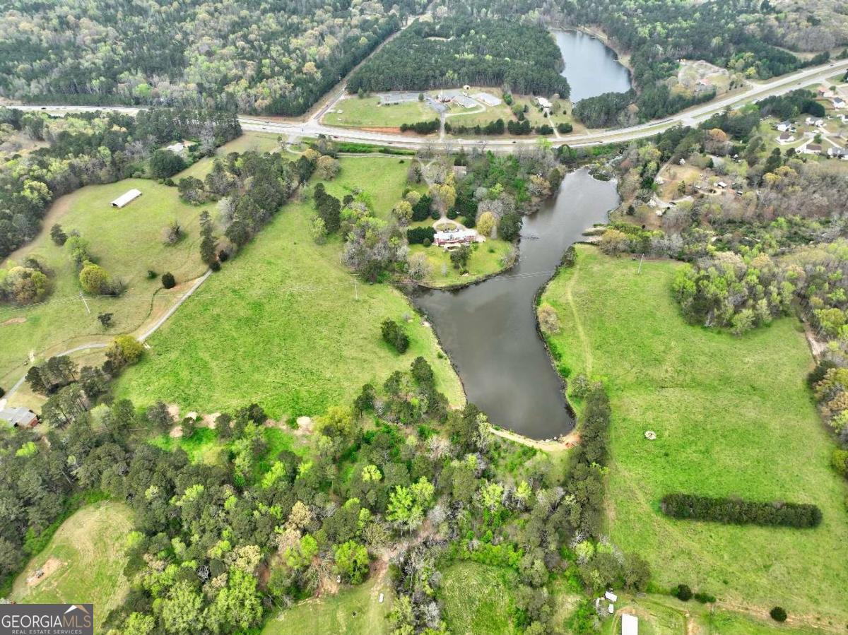 3571 Highway 20 Hampton, GA 30228 - Photo 31 of 35 a view of a lake with large trees