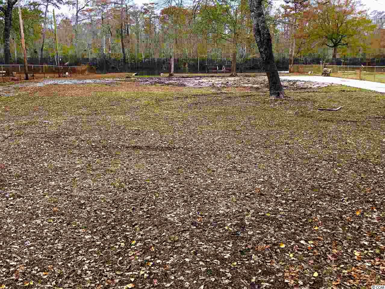 936 Jackson Bluff Road Conway, SC 29526 - Photo 5 of 13 Gallery Image 5
