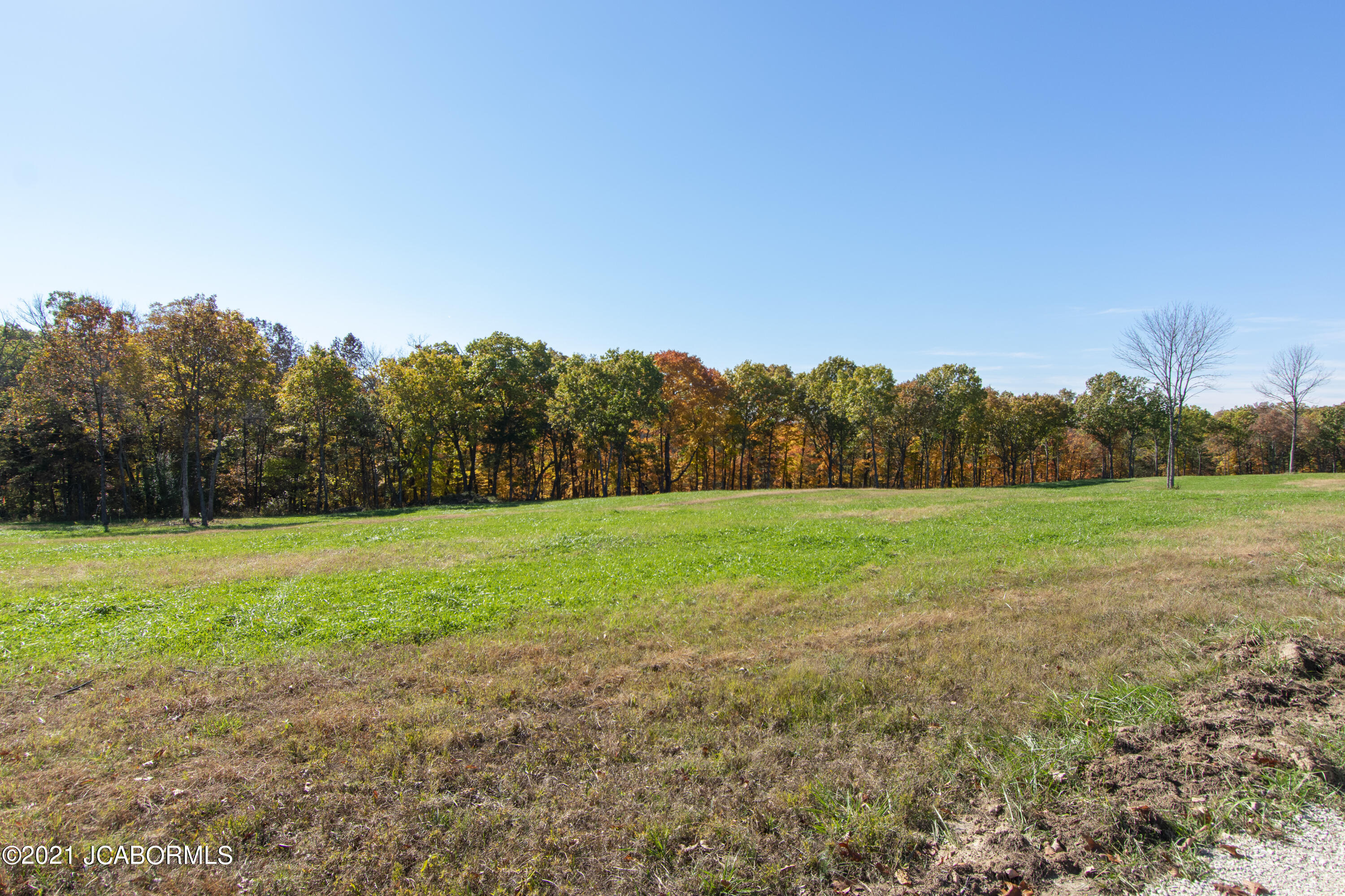 8 Bluff Road Holts Summit, MO 65043 - Photo 8 of 12