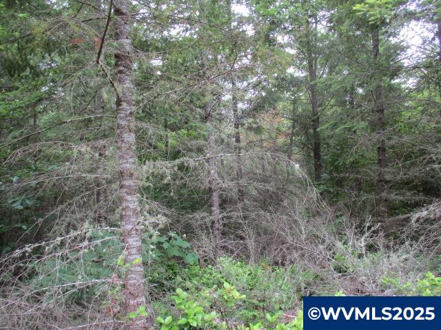 0 Gruber South Road Estacada, OR 97023 - Photo 13 of 30