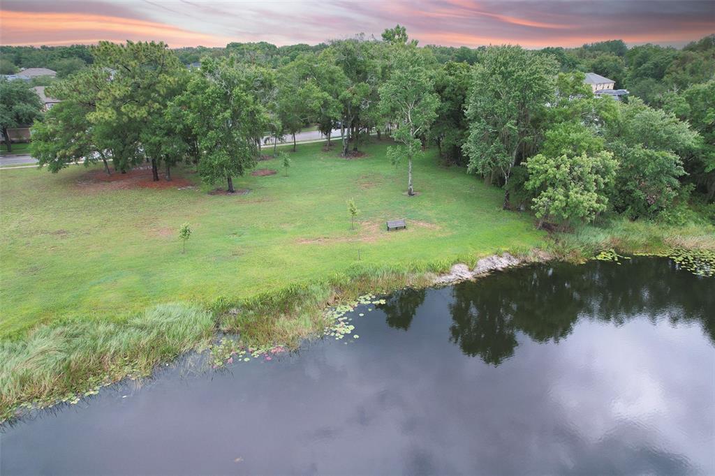 4812 Walnut Ridge Road Land O' Lakes, FL 34638 - Photo 67 of 74 Gallery Image 67
