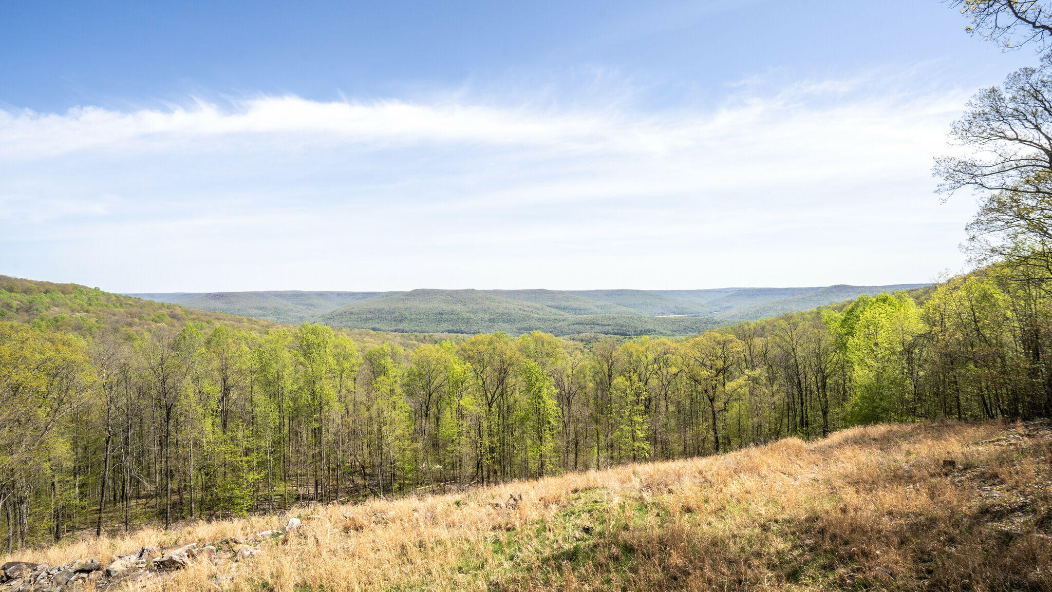 2925 Jackson Point Road Sewanee, TN 37375 - Photo 42 of 60 br2204201-2042