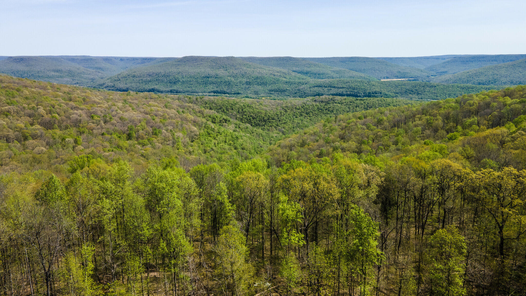 2925 Jackson Point Road Sewanee, TN 37375 - Photo 56 of 60 br2204201-2059