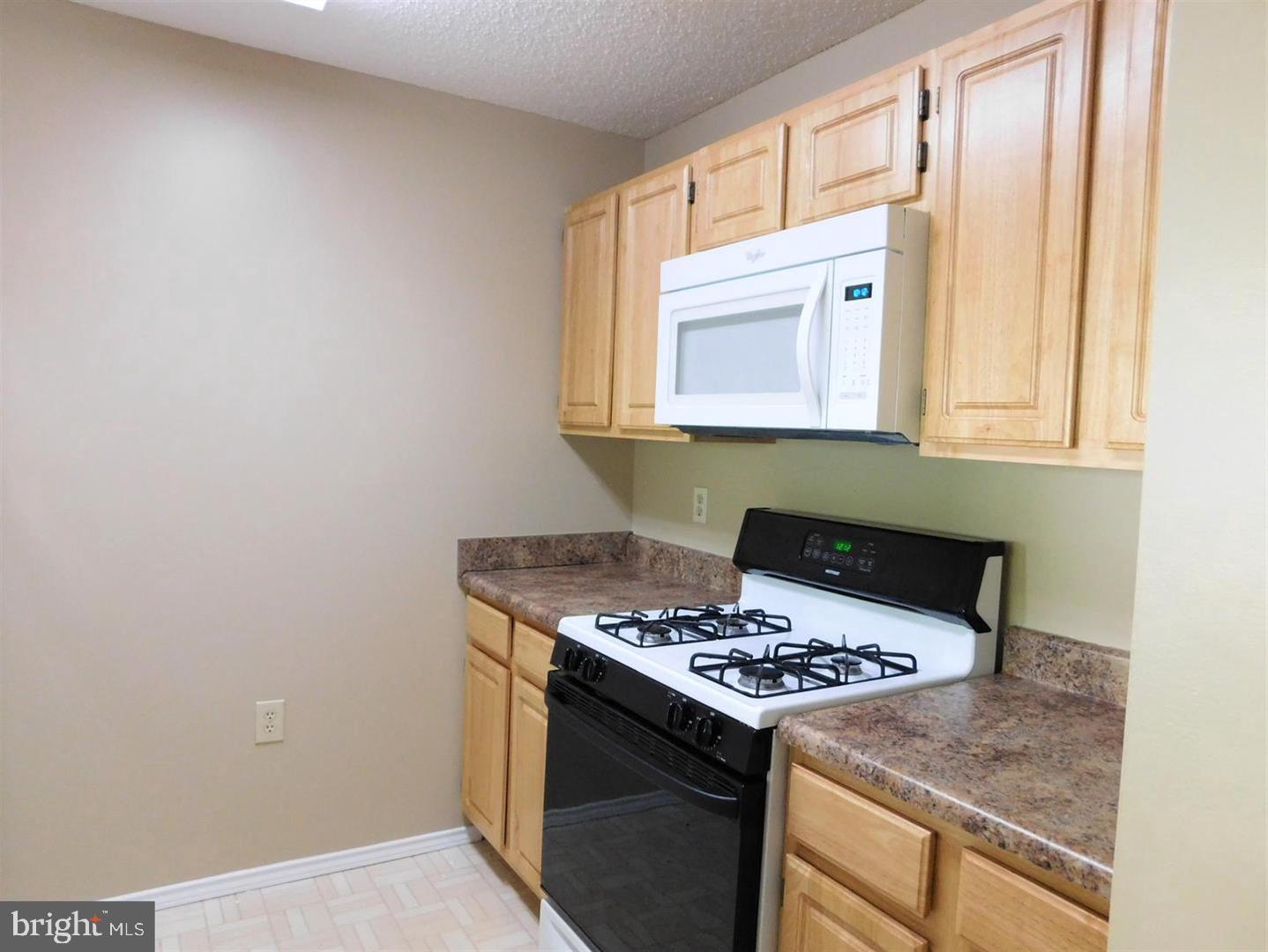 20958 Timber Ridge Terrace, Unit 203 Ashburn, VA 20147 - Photo 6 of 18 NEWER CABINETS IN KITCHEN