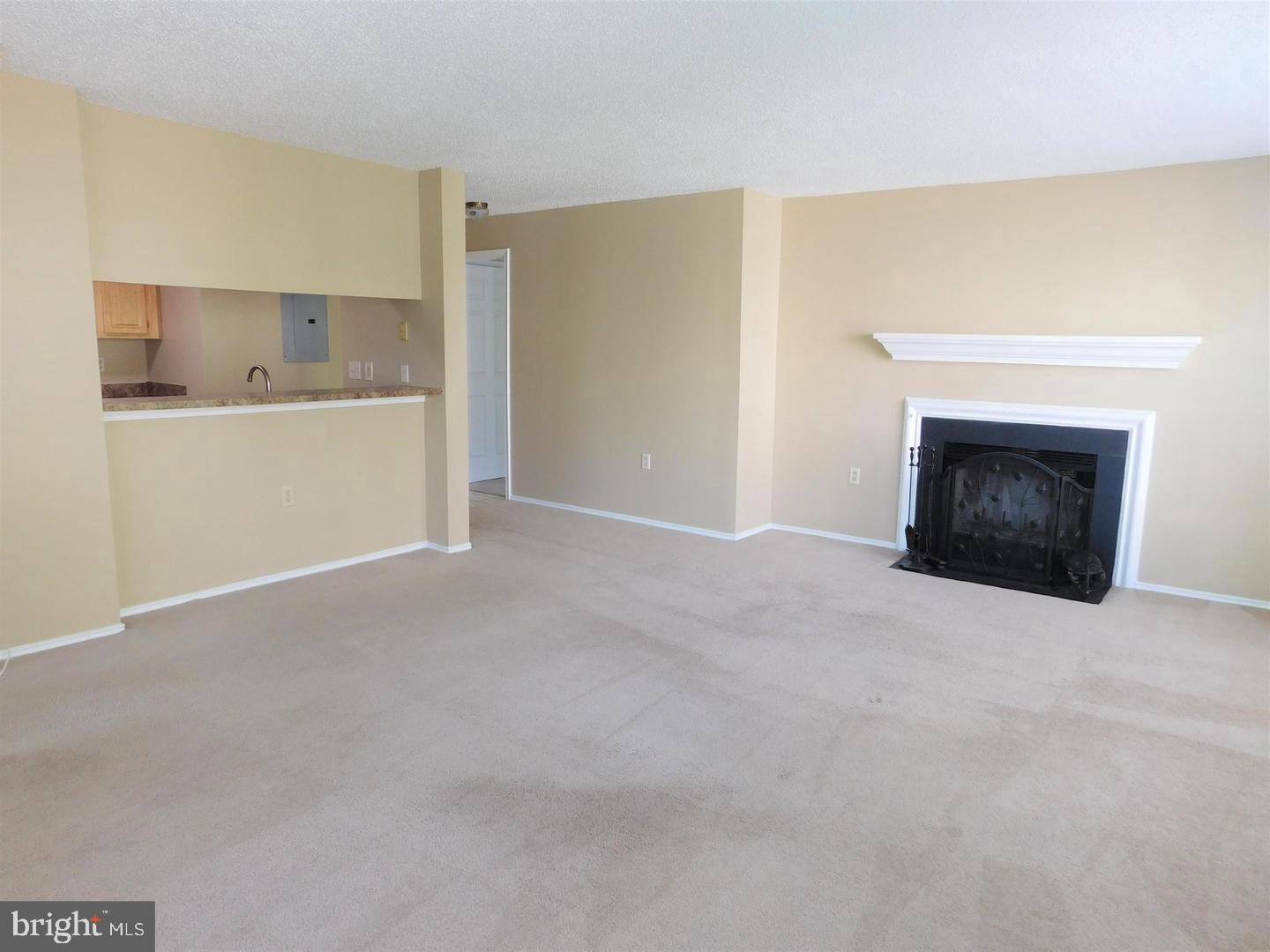 20958 Timber Ridge Terrace, Unit 203 Ashburn, VA 20147 - Photo 7 of 18 COZY WOODBURNING FIREPLACE