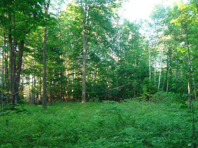 On Arbutus Street, Unit 29 33 Rhinelander, WI 54501 - Photo 1 of 3 Gallery Image 1