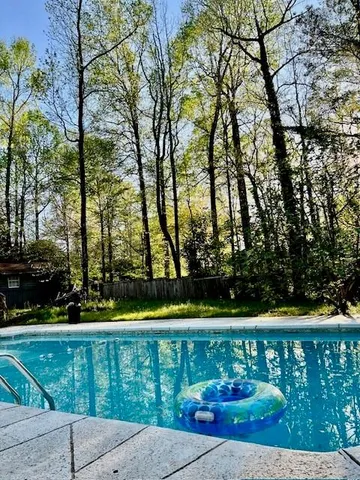 a view of a park with large trees