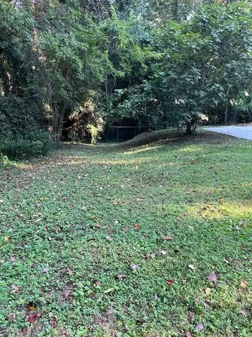 a view of yard with green space