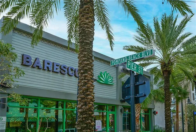 a view of street with palm trees