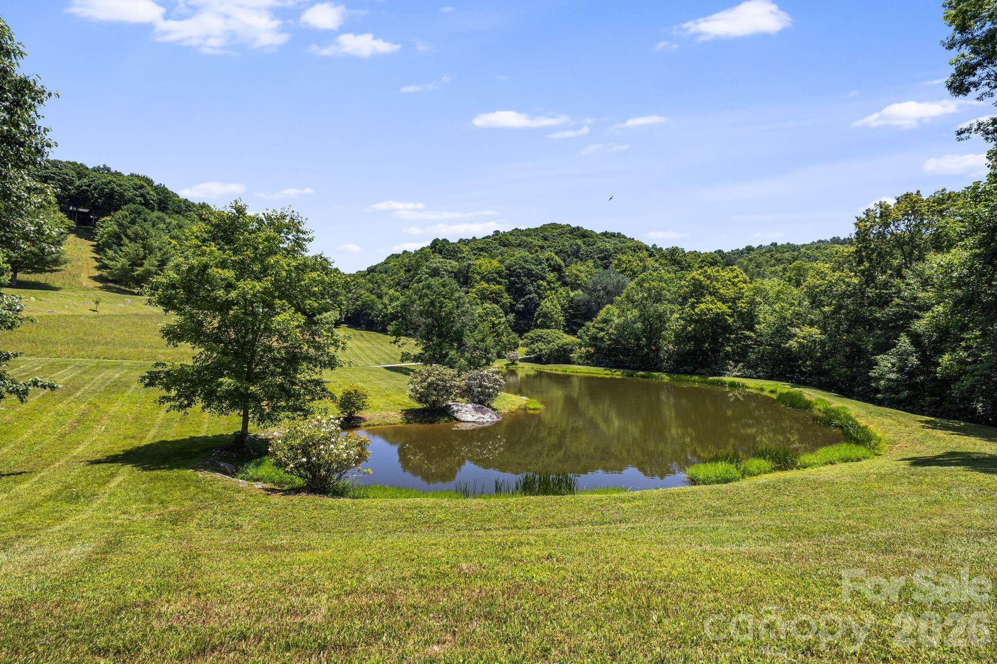 299 Basswood Road Hot Springs, NC 28743 - Photo 40 of 47