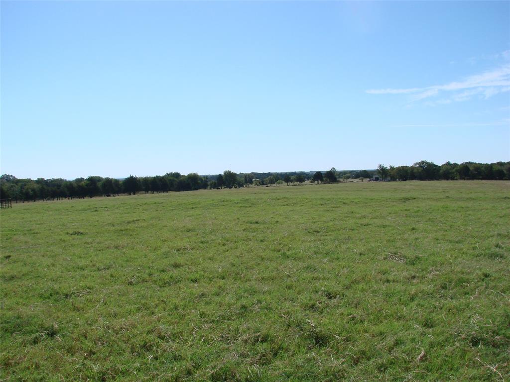 34 Denton Road Gordonville, TX 76245 - Photo 23 of 35 View of local wilderness with rural landscape