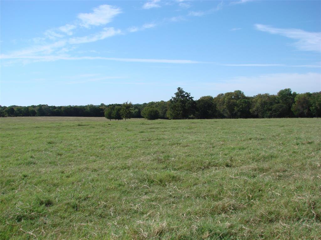 34 Denton Road Gordonville, TX 76245 - Photo 24 of 35 View of nature with rural landscape