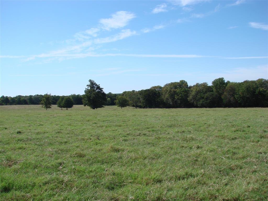 34 Denton Road Gordonville, TX 76245 - Photo 25 of 35 View of local wilderness featuring rural landscape