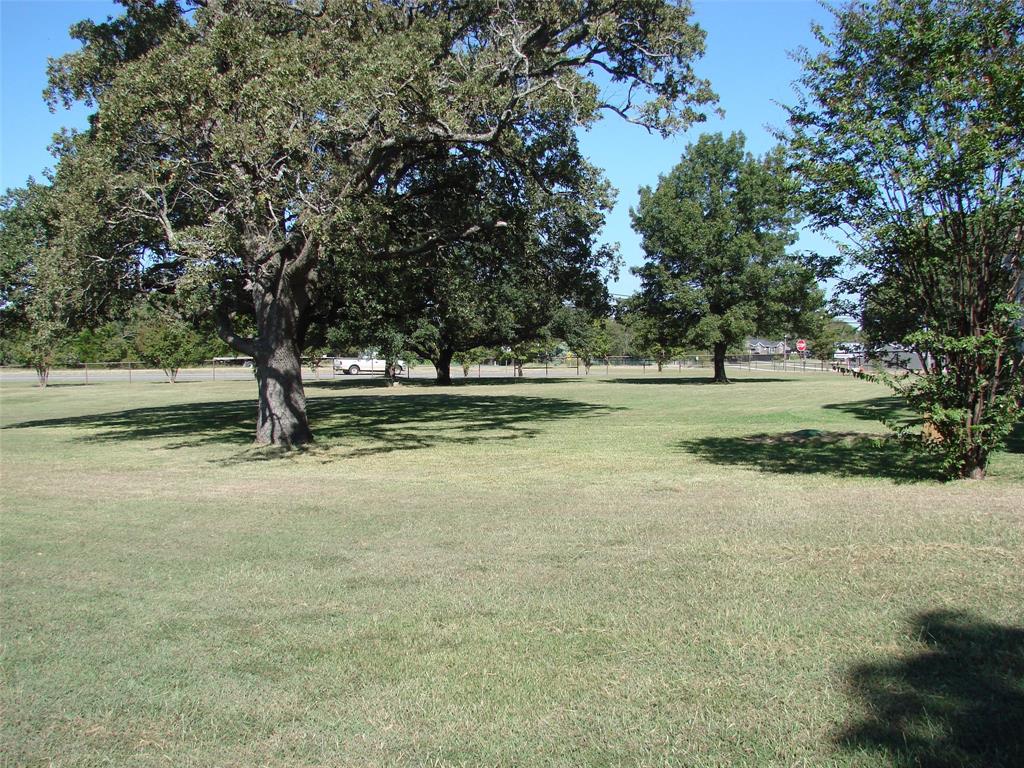 34 Denton Road Gordonville, TX 76245 - Photo 4 of 35 View of grassy yard