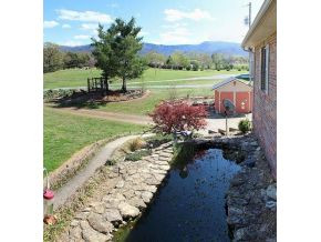 325 Pepper Mill Road Chuckey, TN 37641 - Photo 3 of 24 Fish Pond w Waterfall