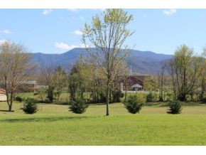 325 Pepper Mill Road Chuckey, TN 37641 - Photo 4 of 24 Mountain View