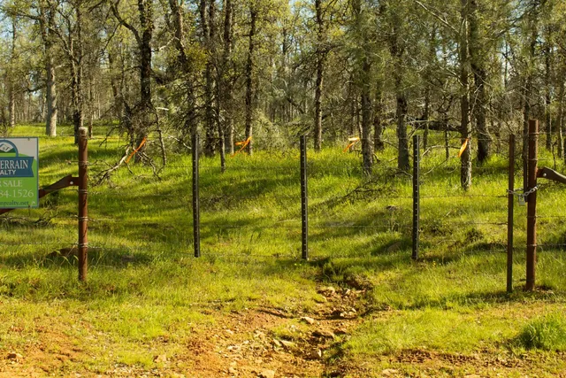a view of an ocean from a yard