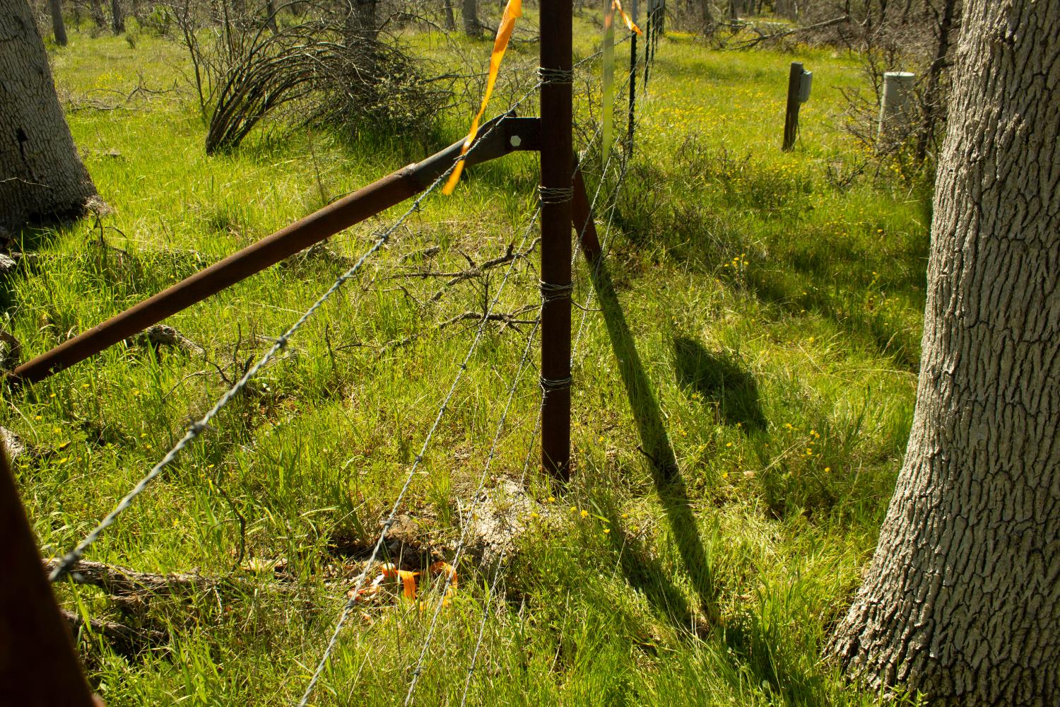 5743 Schilling Road Coulterville, CA 95311 - Photo 2 of 10 a view of swimming pool from a window