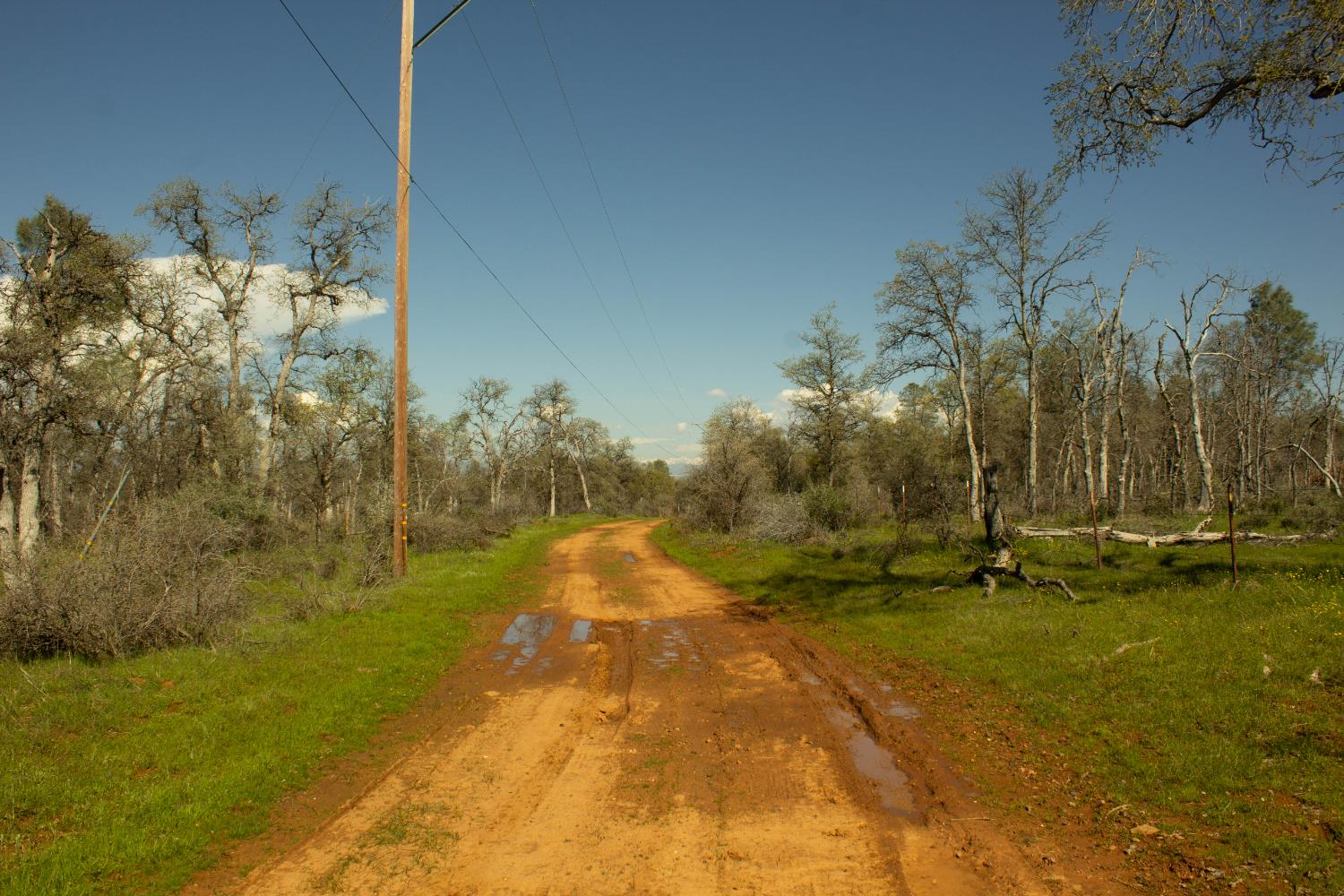 5743 Schilling Road Coulterville, CA 95311 - Photo 4 of 10 a view of a yard with an outdoor space
