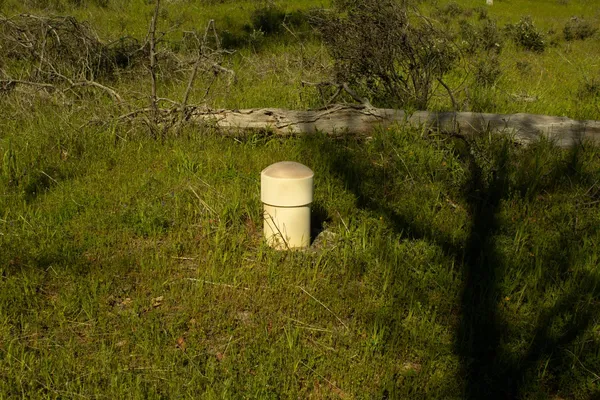 a view of a bathroom with a toilet