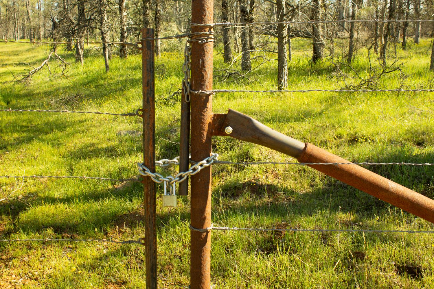 5743 Schilling Road Coulterville, CA 95311 - Photo 10 of 10 a view of swimming pool from a lake view