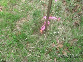 0 Rt 7 Reedsville, OH 45772 - Photo 2 of 2 Gallery Image 2