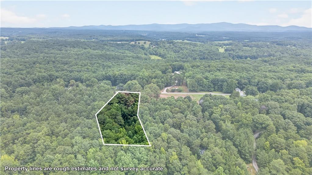 730 Lower Dowda Mill Road Jasper, GA 30143 - Photo 13 of 13 Gallery Image 13