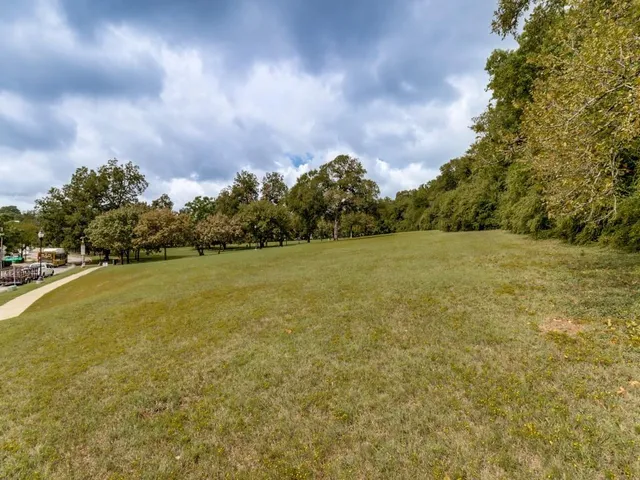a view of yard with swimming pool and trees in the background