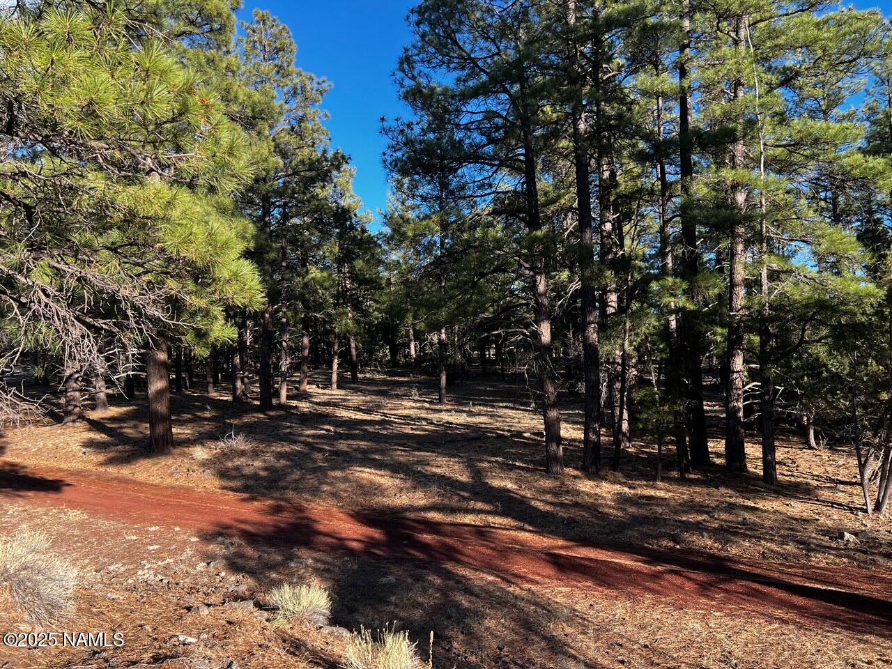 475 North Double A Ranch Road Williams, AZ 86046 - Photo 11 of 18 a view of a forest with trees